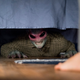 Illustration for article titled New Spider-Man 3 Set Pictures Tease a Mysterio Conspiracy